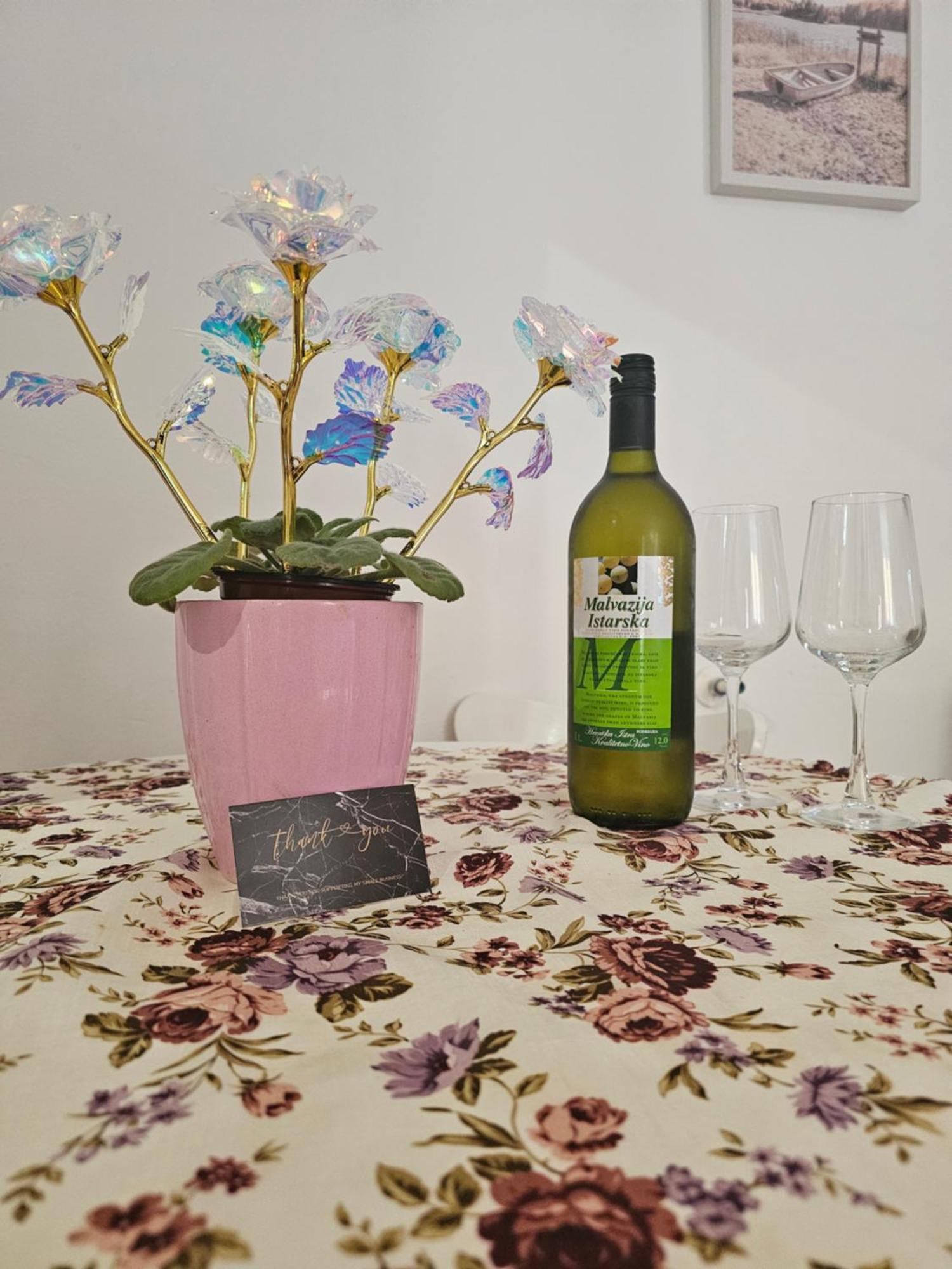 Apartment Miska & Studio Roki Dračevac 外观 照片
